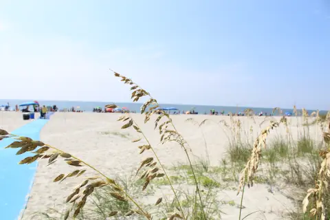Blue beach mat beside sea oats leading onto the beach