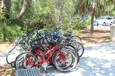 Several bicycles parked together beside a paved path