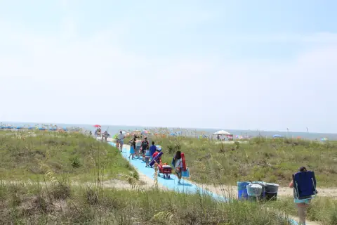 Blue beach mat through dune grass with beachgoers and umbrellas near the water