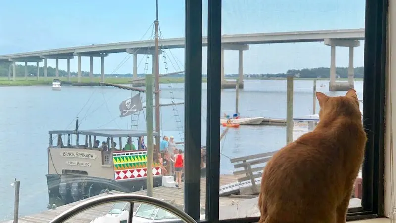 Coastal Veterinary Clinic