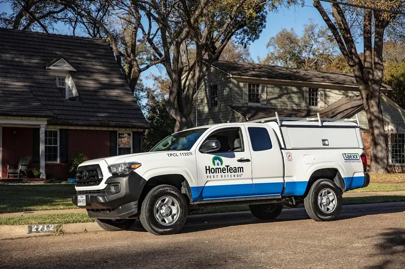 Pest control in Bluffton