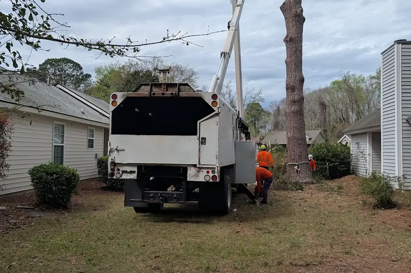 A tree crew with a bucket truck removing a tree beside a Bluffton home