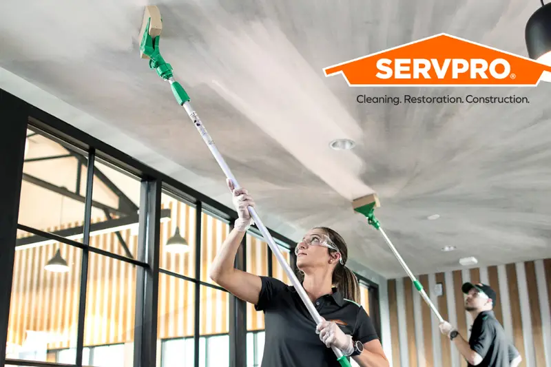 Mold and water damage
