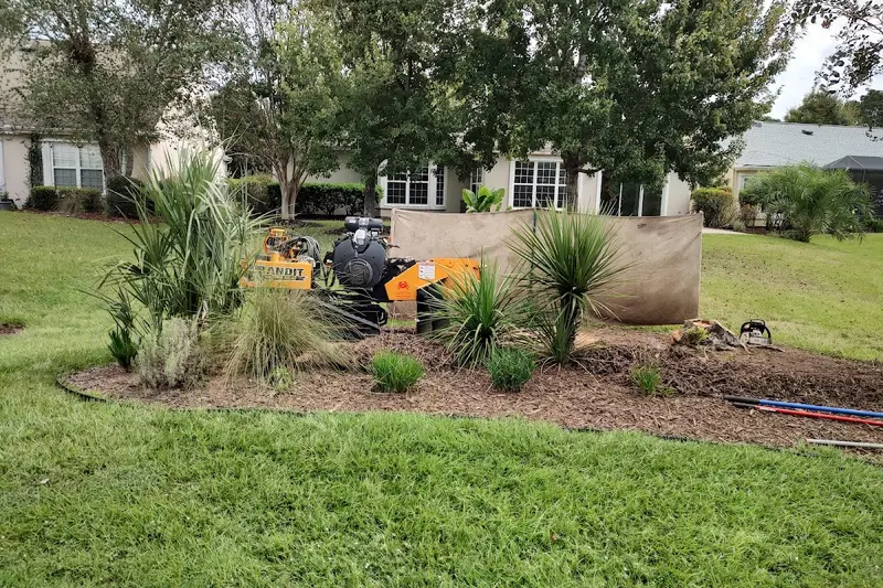 Southern Crab Stump Grinding