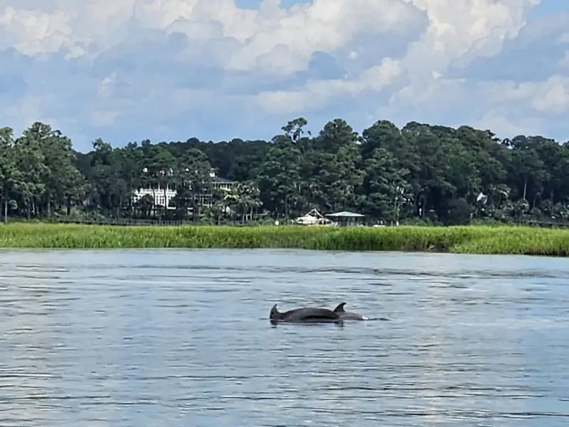 May River Excursions