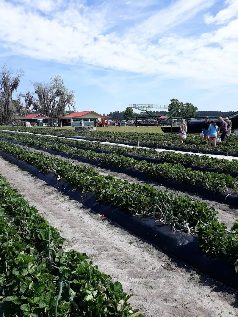 Ottawa Farms