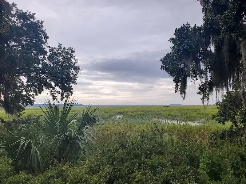 Salt marsh stretching to the horizon under a grey sky, framed by live oaks, Spanish moss and palmettos at Palmetto Bluff