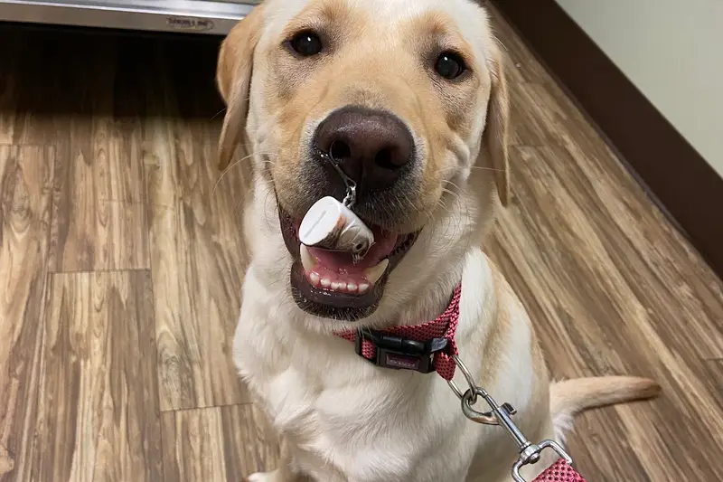 Buckwalter Veterinary Clinic