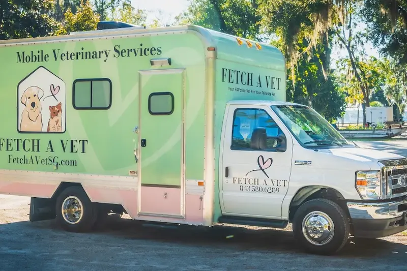 Fetch A Vet
