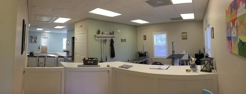 Sandy Paws Pet Salon