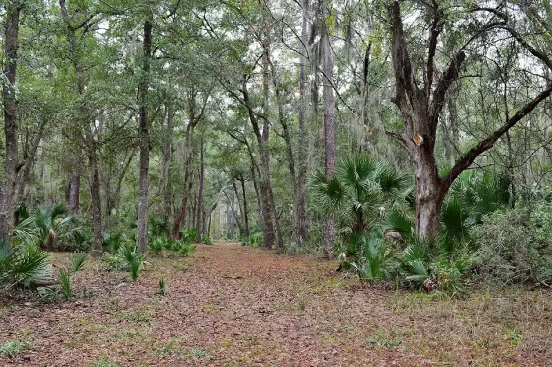 Victoria Bluff Heritage Preserve