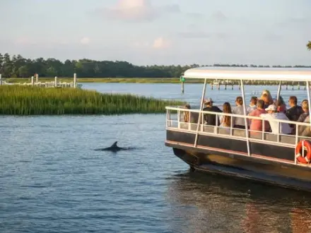 Dolphin Cruises