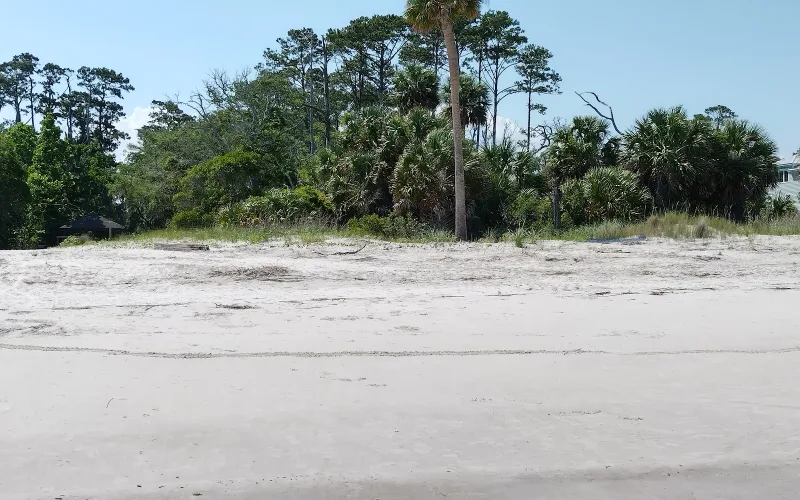 Bloody Point Beach