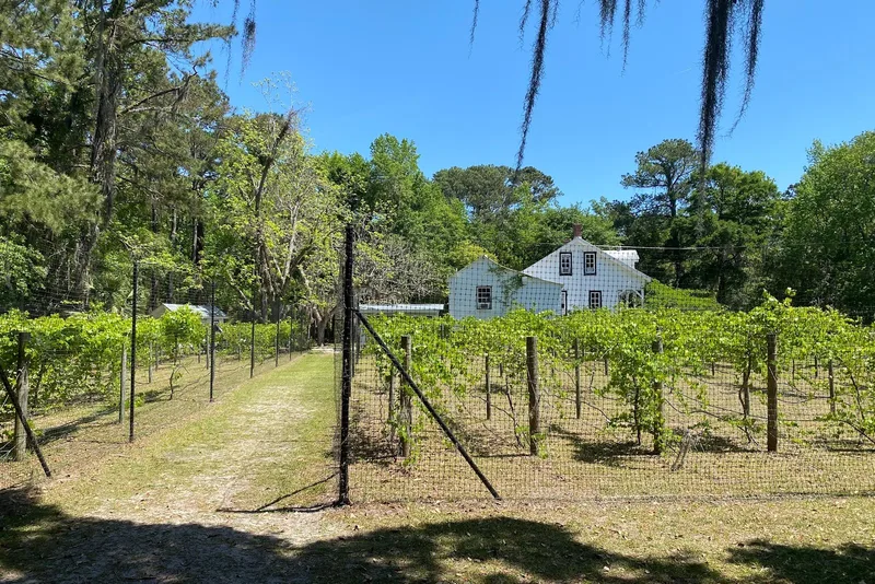 Silver Dew Winery