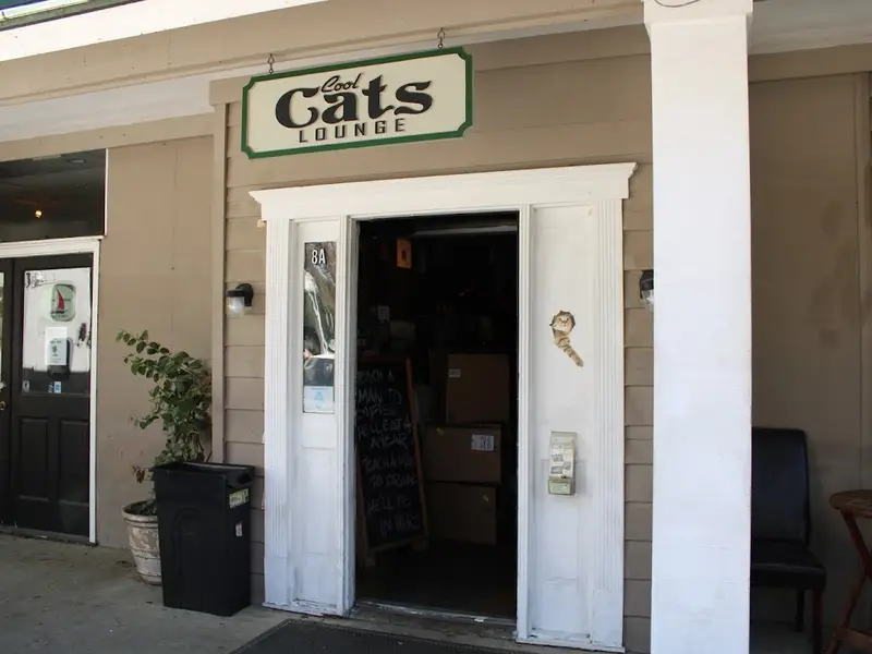 The open front door of Cool Cats Lounge under its green Cool Cats Lounge sign on Palmetto Bay Road