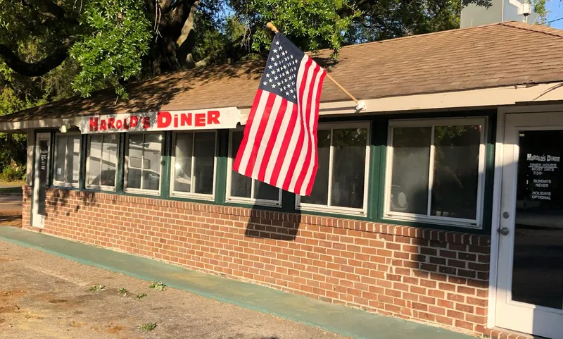 Harold's Diner, a low brick building with the red Harold's Diner sign and an American flag out front