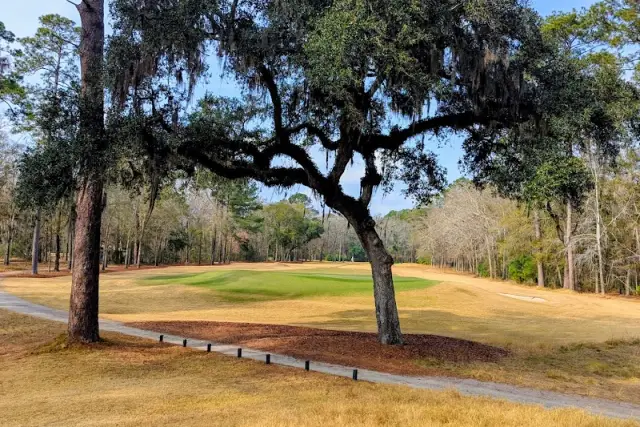 A live oak beside a cart path and a green on the Coore and Crenshaw course at Chechessee Creek Club, with winter-dormant fairways