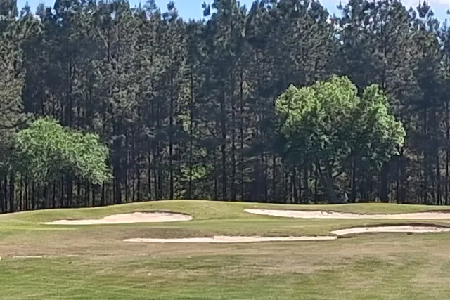 Bunkers around a green below a stand of tall pines at the Golf Club at Hilton Head Lakes