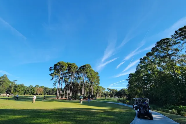 Golfers and a cart on a fairway lined with tall pines at Sea Pines Country Club