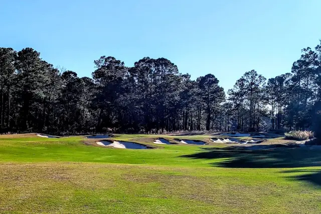 Bunkers crossing a fairway below a line of pines on Old Tabby Links at Spring Island Club