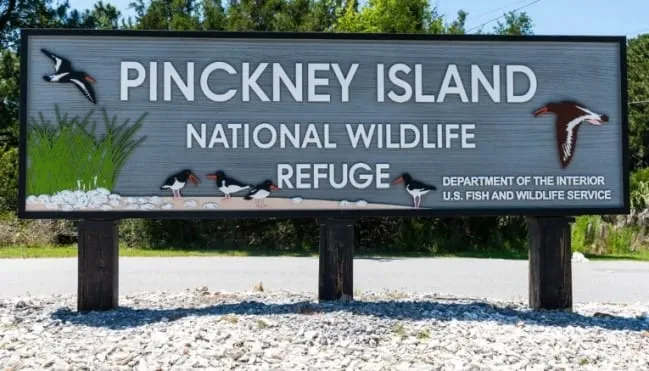Pinckney Island SC National Wildlife Refuge