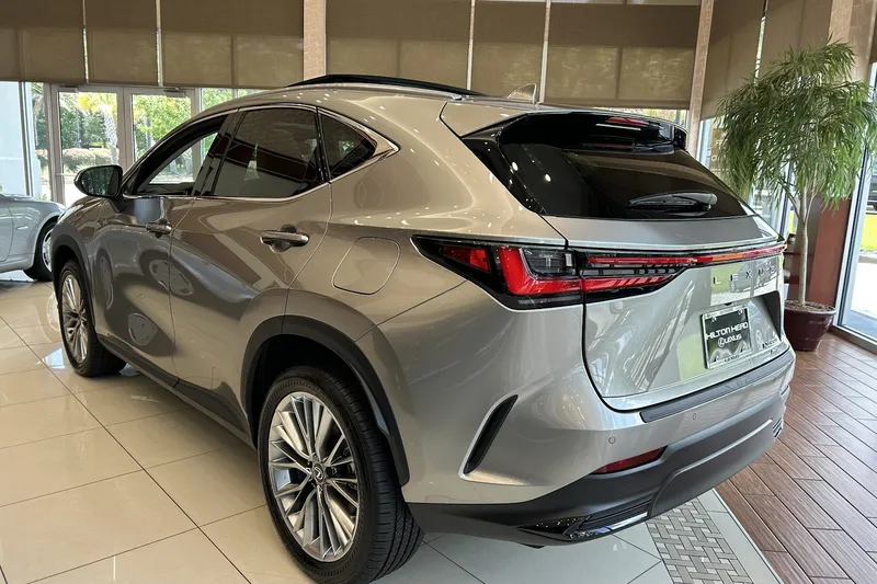 Hilton Head Lexus