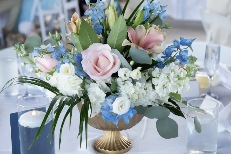Elegant Bloom Designs