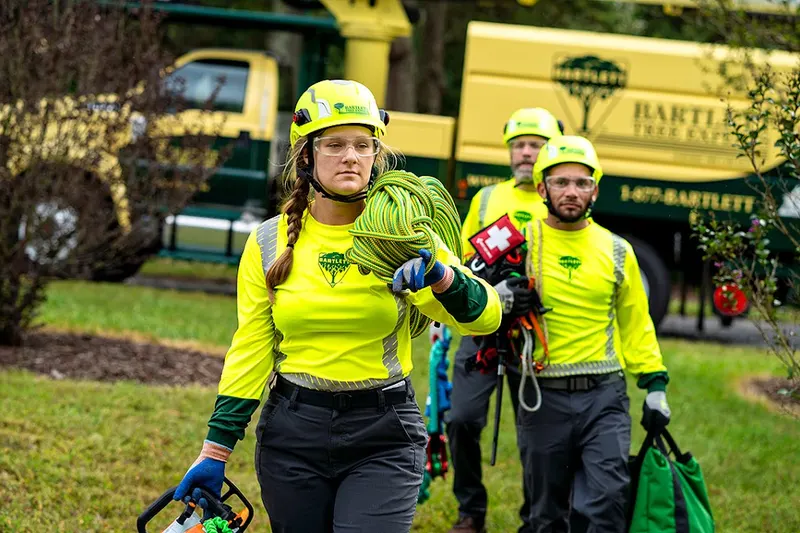 Bartlett Tree Experts