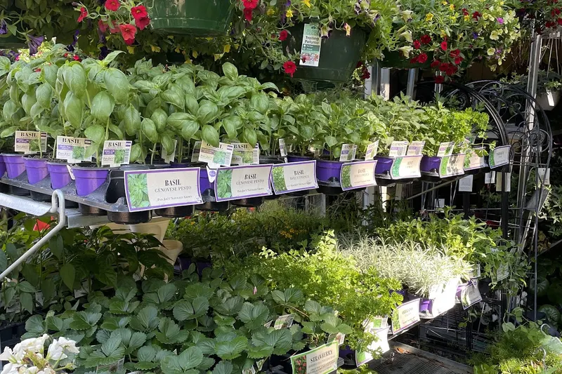 Bruno Landscape & Nursery