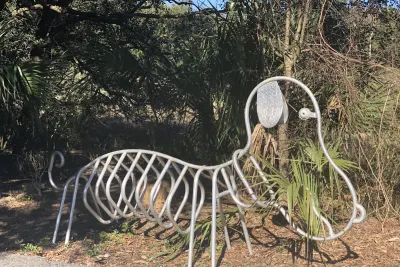 Pets on Hilton Head
