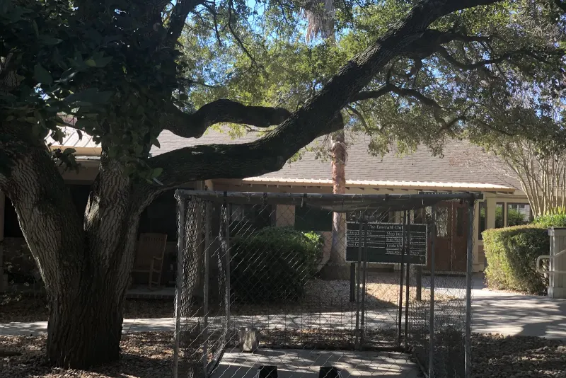 Hilton Head Humane Association