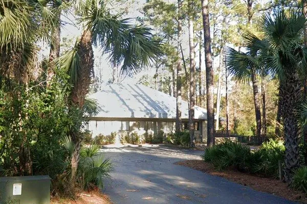 The drive up to the South Island Public Service District office among the palms
