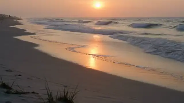 Hilton Head monthly and winter rentals