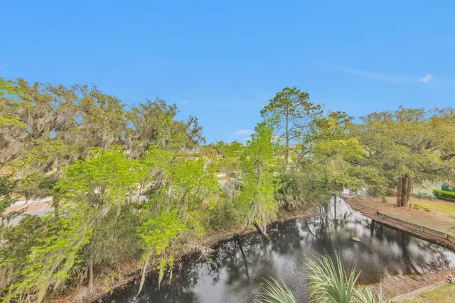 View at Forest Beach Villas 301
