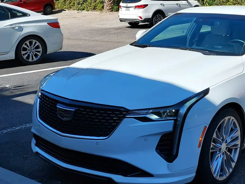 Avis Car Rental
