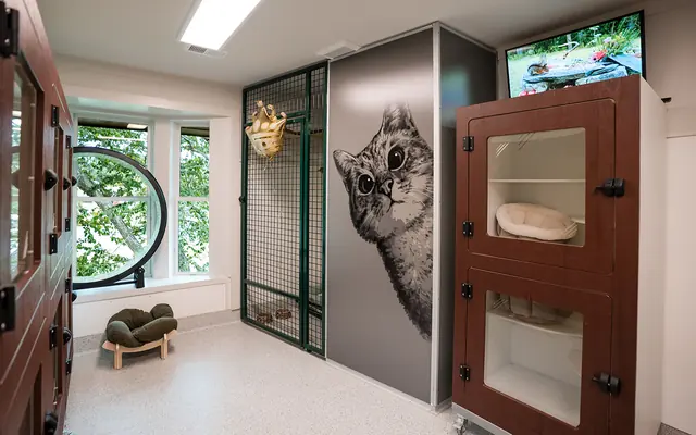 Red Rover (Evergreen Pet Lodge South)