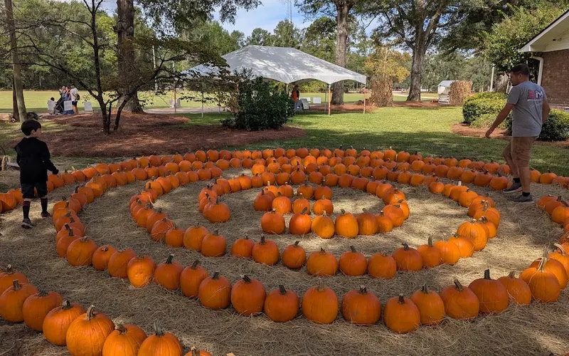 Holiday Farms