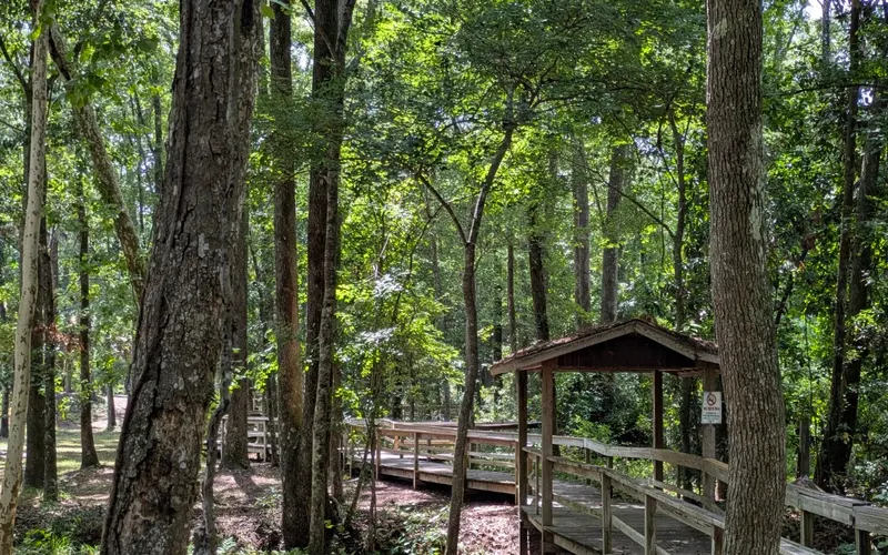Ridgeland, SC