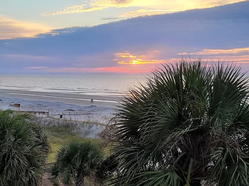 Sunset over the Atlantic and the dunes, seen between palmettos from a Turtle Lane Club balcony