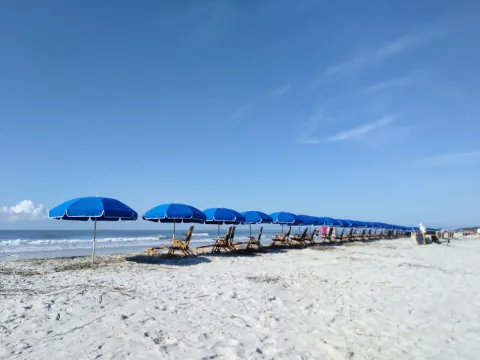 A long row of blue beach umbrellas and chairs on the sand in Sea Pines