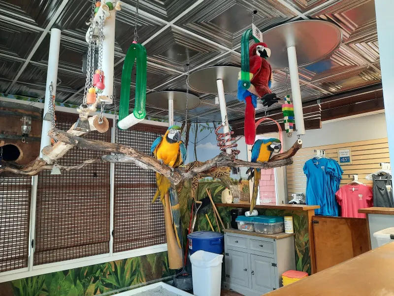 Parrot perches and T-shirt racks inside Jake’s Cargo at South Beach Marina