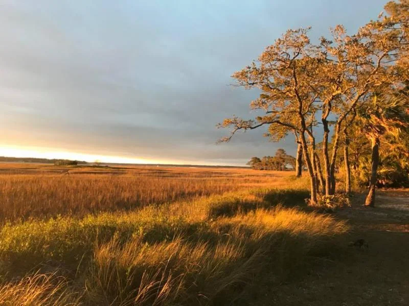 The salt marsh at Baynard Park in Sea Pines, lit gold at sunset with live oaks along the edge