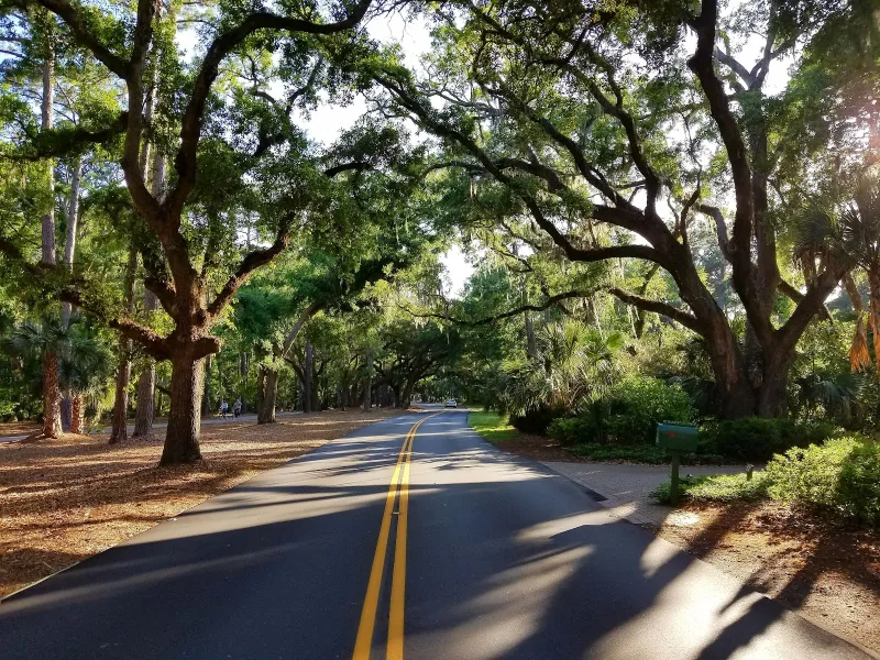 Sea Pines real estate