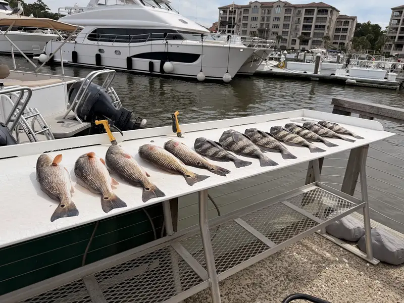Bay Runner Fishing Charters