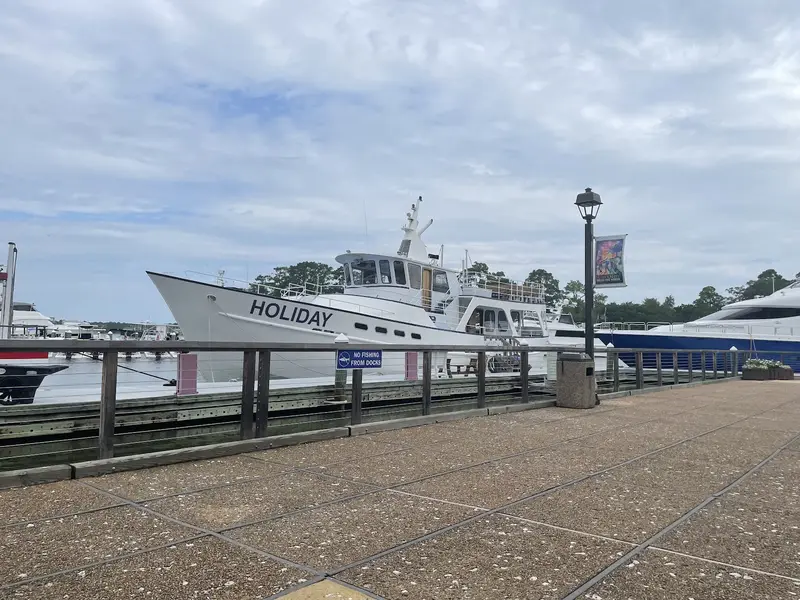 Captain Mark’s Dolphin Cruise