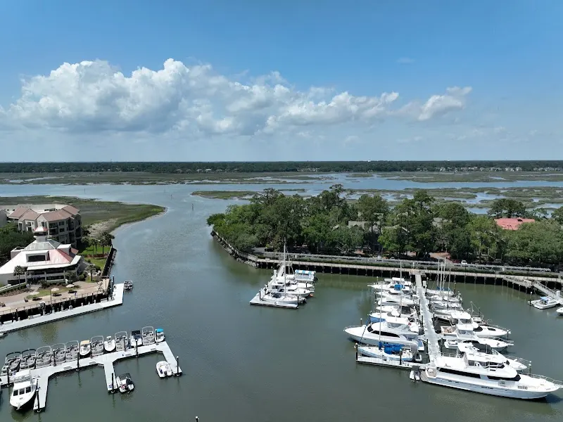 An aerial view of Shelter Cove Harbour, its docks full of boats, with Broad Creek and the marsh beyond