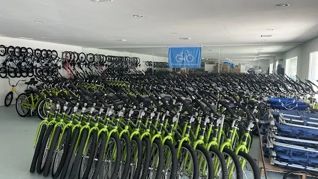 The Salty’s bike rental fleet