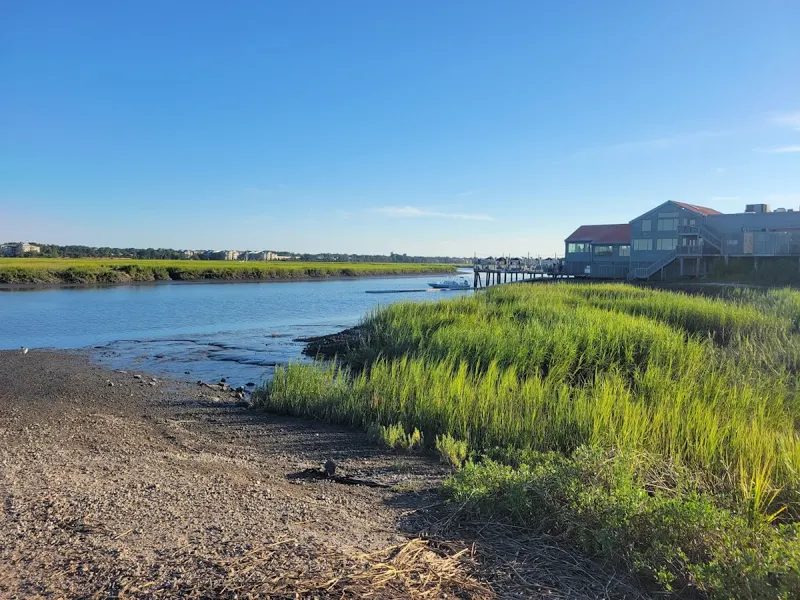 Marsh grass and a gravel shore at the Marshland Road boat landing at the head of Broad Creek