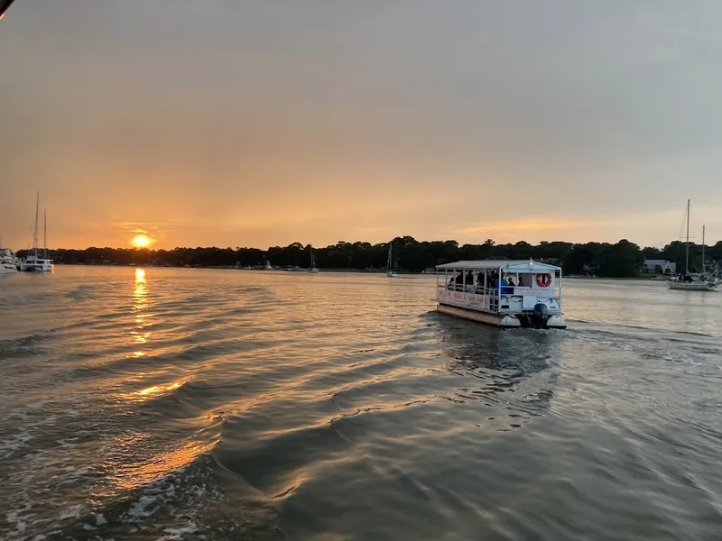 Dolphin & Nature Tours