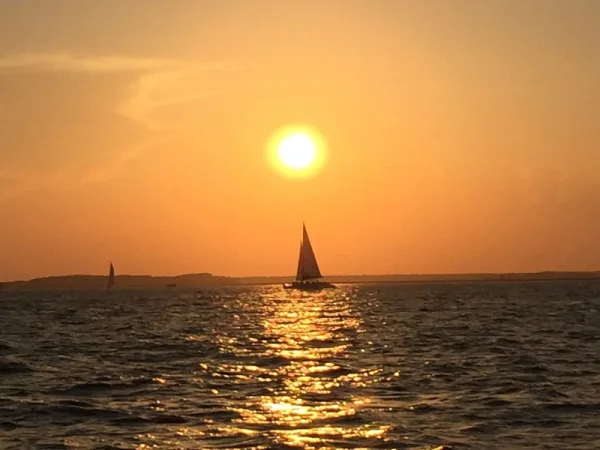 Sunset over the water with a sailboat on the horizon, from Finchaser Charters